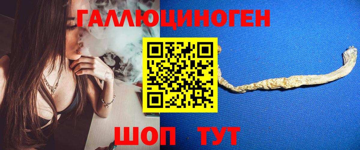 Галлюциногенные грибы GOLDEN TEACHER  Вход с VPN  Тосно  Псилоцибиновые грибы Cubensis 